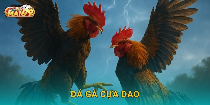 Đá gà cựa dao an toàn – Đấu trường kịch tính tại Man79