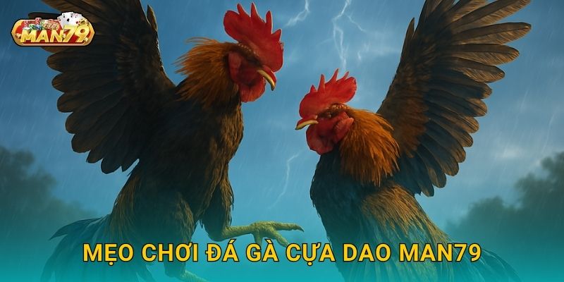 Mẹo chơi Đá gà cựa dao Man79