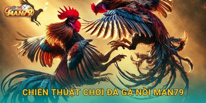 Chiến thuật chơi Đá gà nòi Man79
