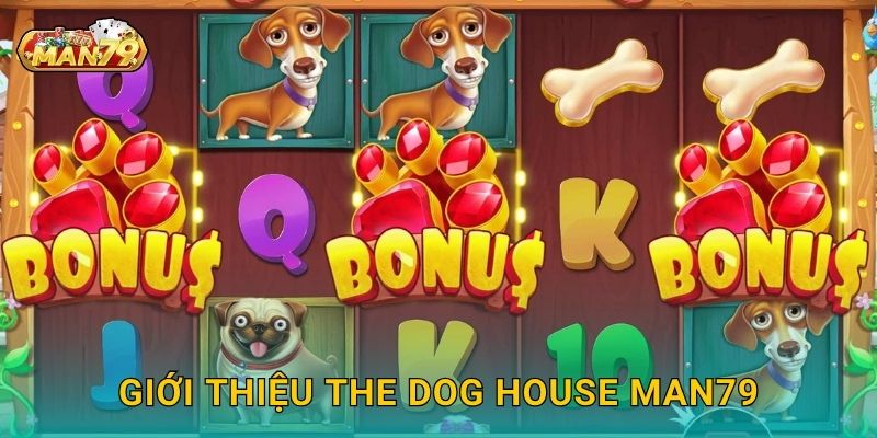 Giới thiệu The Dog House Man79